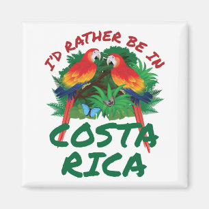 Jag skulle hellre vara i Costa Rica Vacation Souve Magnet