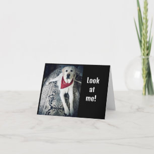 JAG SKULLE KUNNA SÄGA "GRATTIS PÅ FÖDELSEDAGEN" I  KORT