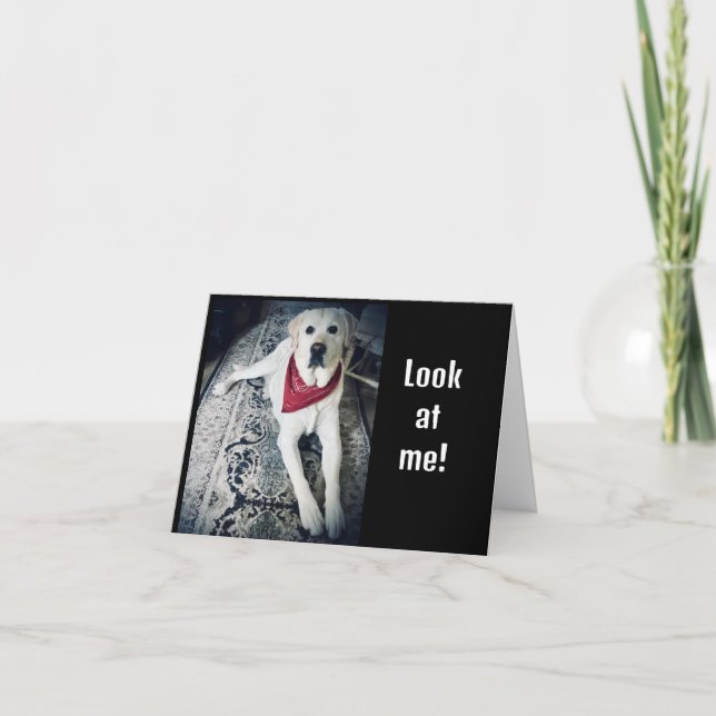 JAG SKULLE KUNNA SÄGA "GRATTIS PÅ FÖDELSEDAGEN" I  KORT (Framsida)