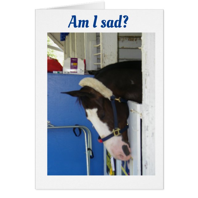 JAG SKULLE KUNNA SÄGA *GRATTIS PÅ FÖDELSEDAGEN* PE HÄLSNINGSKORT (Framsidan)