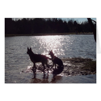 Jag skulle kunna tillbringa en hel livstid med sol hälsningskort