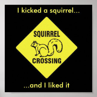Jag sparkade en ekorre poster