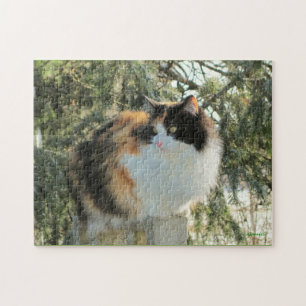 Jag spionerar med mitt kall öga pussel