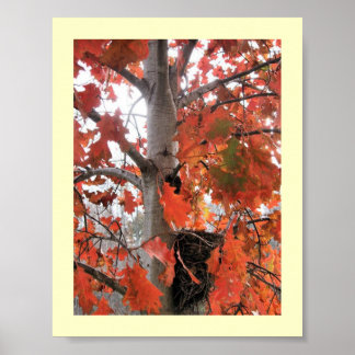 Jag spionerar... poster