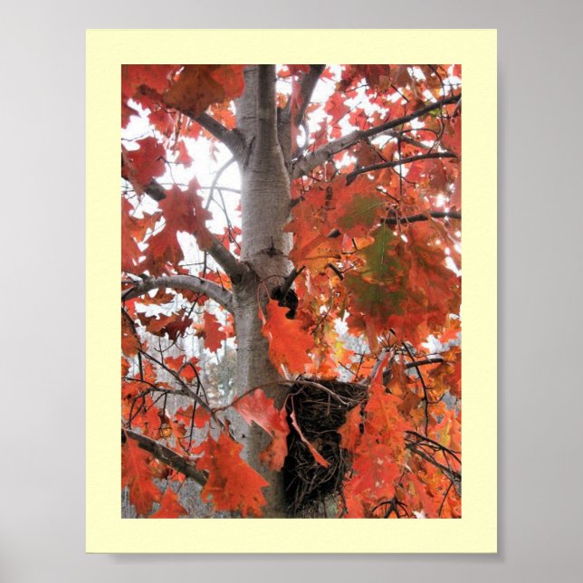 Jag spionerar... poster (Framsidan)