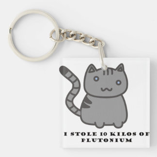 Jag stal 10 kilo plutonium katt