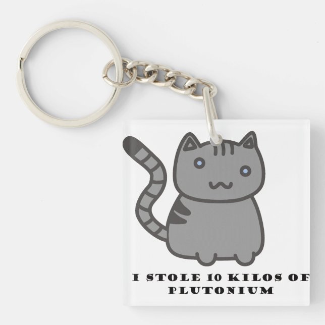 Jag stal 10 kilo plutonium katt (Framsidan)