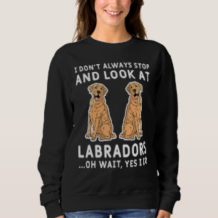 Jag stannar inte alltid och tittar på Labradors. T Shirt