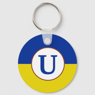 Jag står för Ukrainas flagga av blå gult Nyckelring