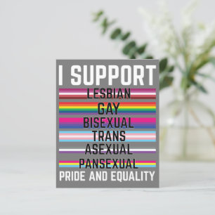 Jag stöder Lesbisk Gay Bisexual Trans ASexual Pans