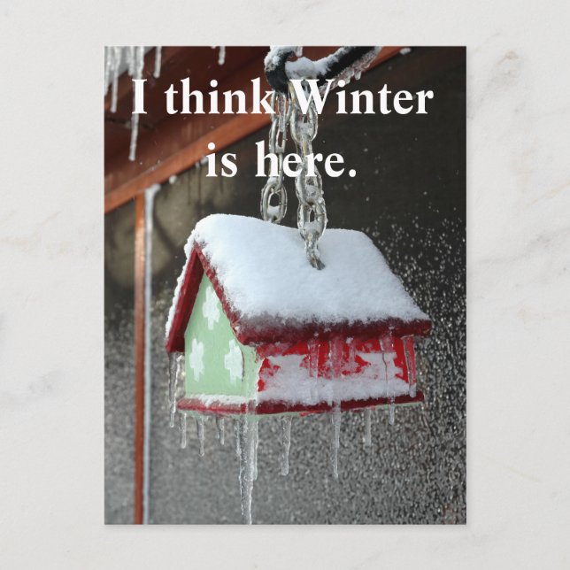 Jag tänka Winter är här. Vykort (Framsida)