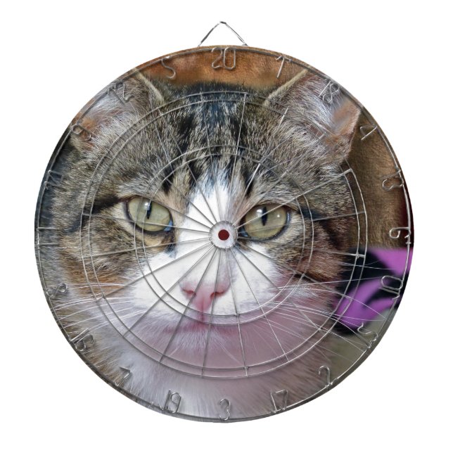 Jag tänker darttavla (Framsidan)