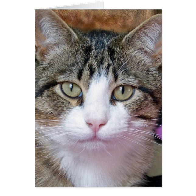 Jag tänker hälsningskort (Framsidan)