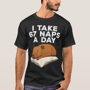 Jag tar 67 tupplär en dag rolig Capybara Six Seven T Shirt