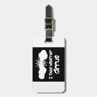 Jag tar vädercirrusen bagagebricka