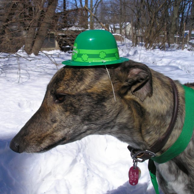 "Jag tävlar med dig!" Kort (Skapare uppladdad)