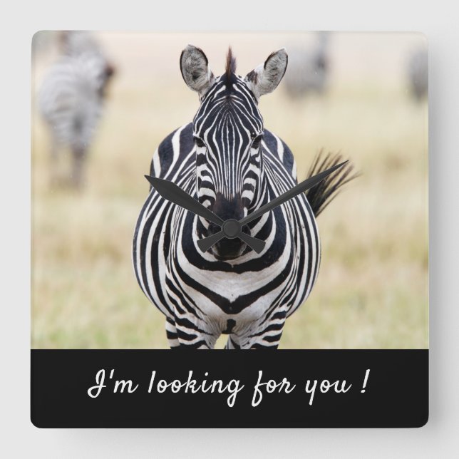 Jag tittar för dig Zebra-foto med text Fyrkantig Klocka (Framsida)