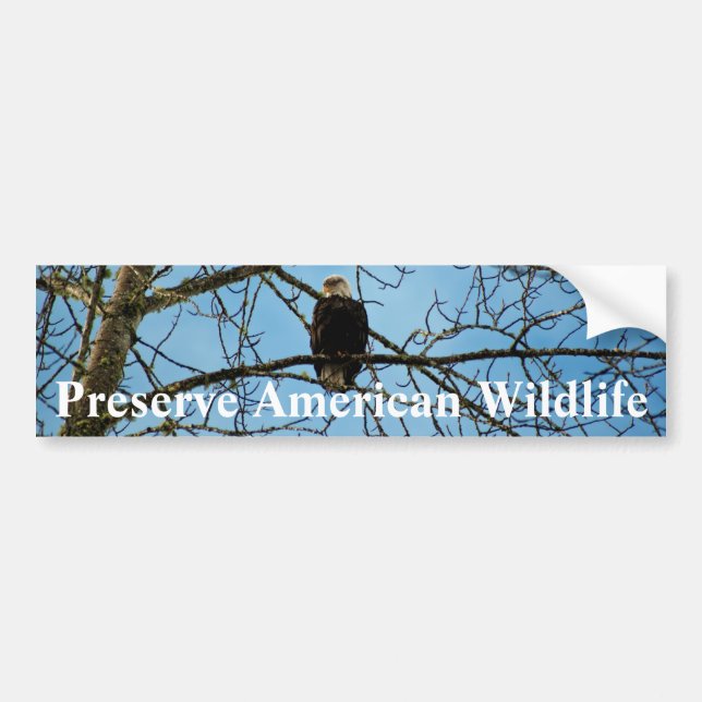 Jag tittar på dig bildekal (Framsidan)