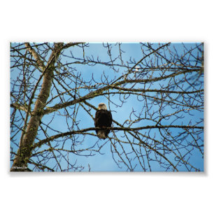 Jag tittar på dig fototryck