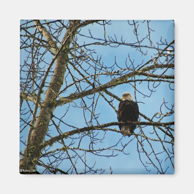 Jag tittar på dig magnet (Framsidan)