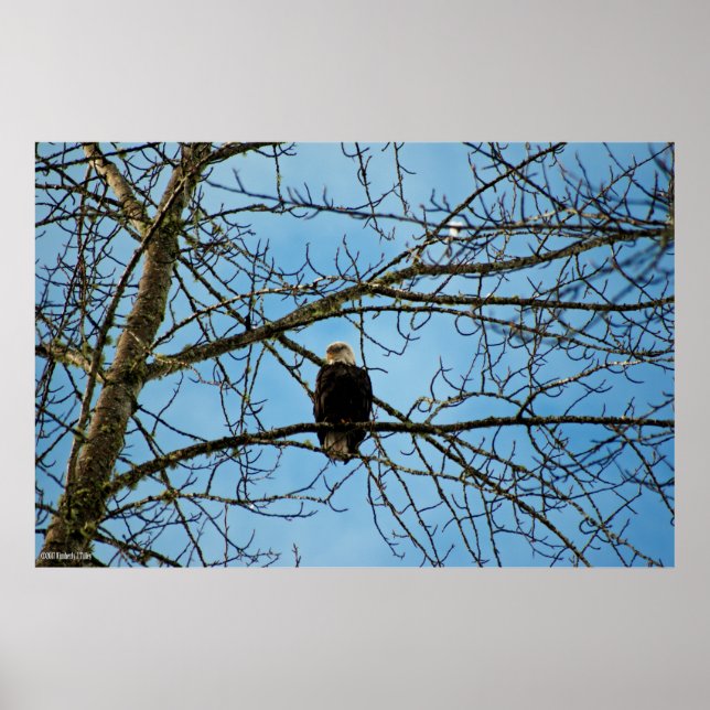 Jag tittar på dig poster (Framsidan)