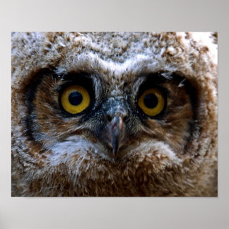 Jag tittar på dig poster