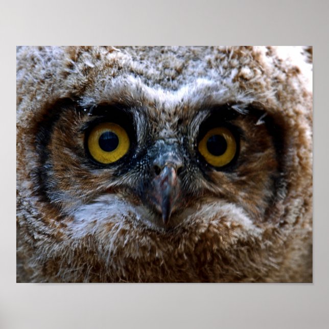 Jag tittar på dig poster (Framsidan)