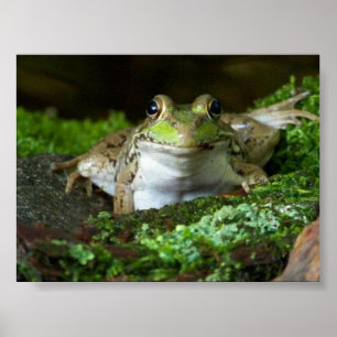 Jag tittar på din bullgrog Poster