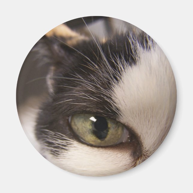 Jag tittar på magnet (Framsidan)