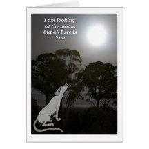 Jag tittar vid måne