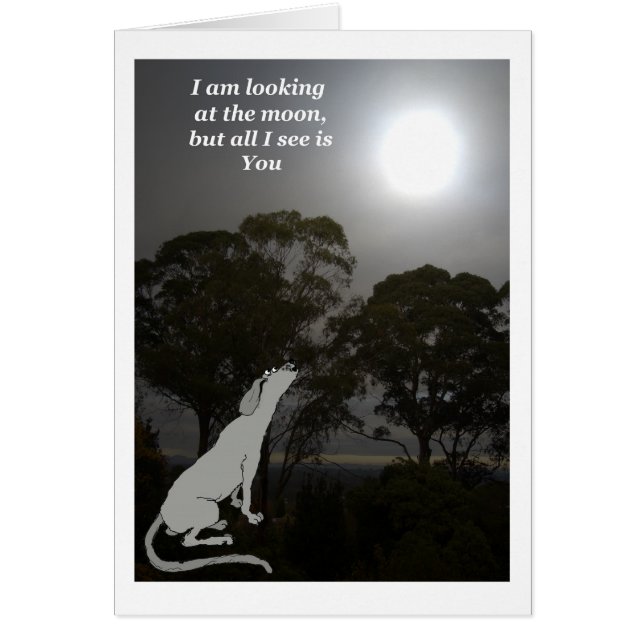 Jag tittar vid måne hälsningskort (Framsidan)