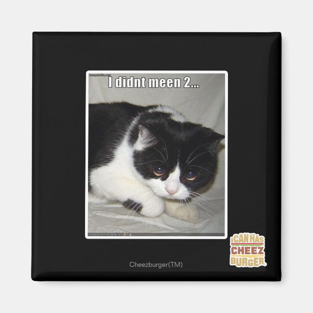 Jag träffade inte 2 magnet (Framsidan)