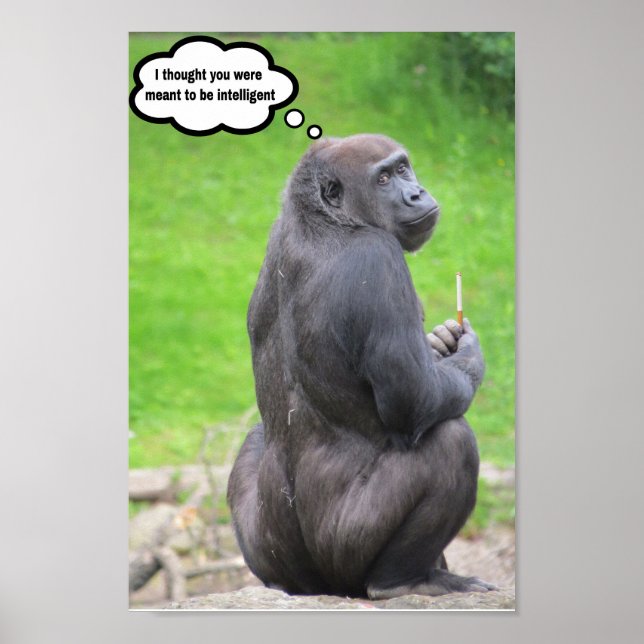 Jag trodde att du skulle vara intelligent. poster (Framsidan)