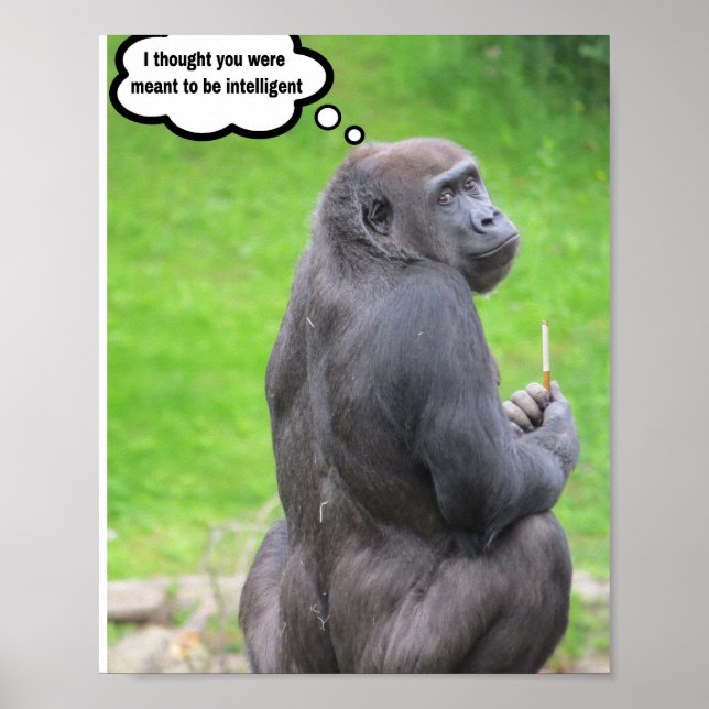 Jag trodde att du skulle vara intelligent. poster (Framsidan)