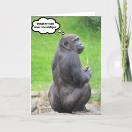 Jag trodde att du skulle vara intelligent. tack kort