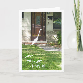 Jag trodde att jag skulle säga hej! kort