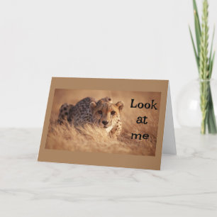 JAG TROR INTE ATT "DU" ÄR "16" KORT