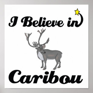 Jag tror på Caribou Poster