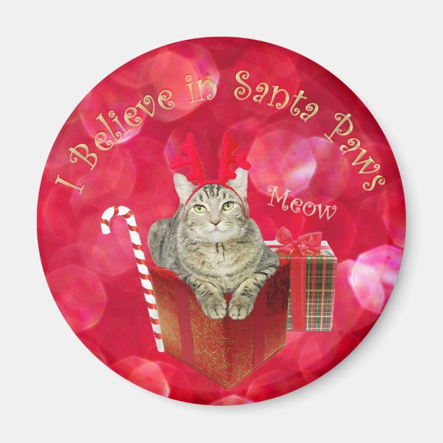 Jag tror på Santa Tass Magnet (Framsidan)