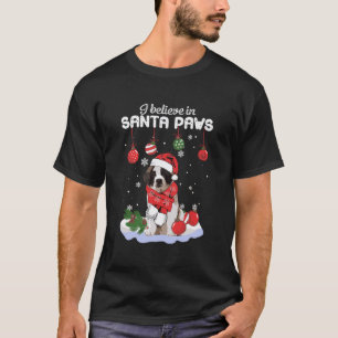 Jag tror på Santa Tassar Saint Bernard Gift T Shirt