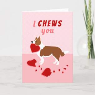 Jag tuggar dig Gräns Collie Valentine Day Helgdag Helgkort