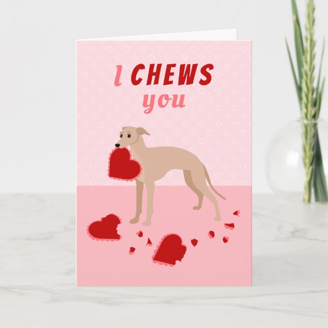 Jag tuggar din italienska Greyhound Valentindag Helgkort (Framsida)