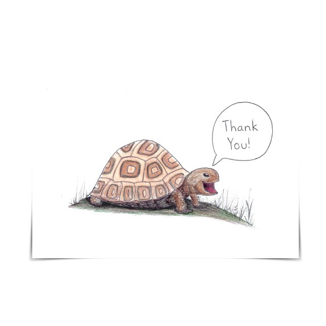 "Jag Turtley applåderar det" Turteles tackkort Kort (Skapare uppladdad)