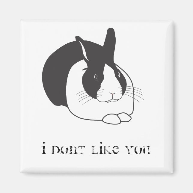 Jag tycker inte om dig magnet (Framsidan)