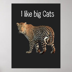 Jag tycker om den stora Cats Leopard-designen att Poster