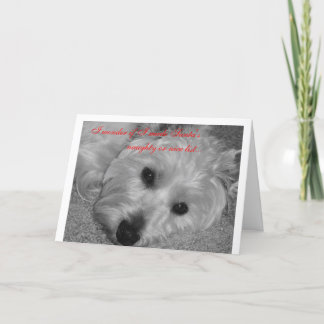 Jag undrar, om jag gjorde Santa s att lista? Helgkort