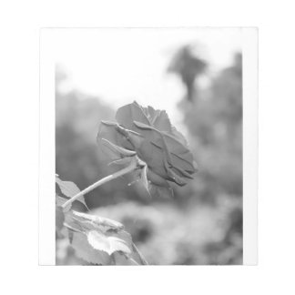 Jag valde mig Ro Anteckningsblock