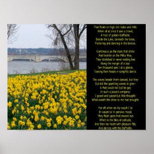 JAG VANDERED LONELY AS A CLOUD POSTER