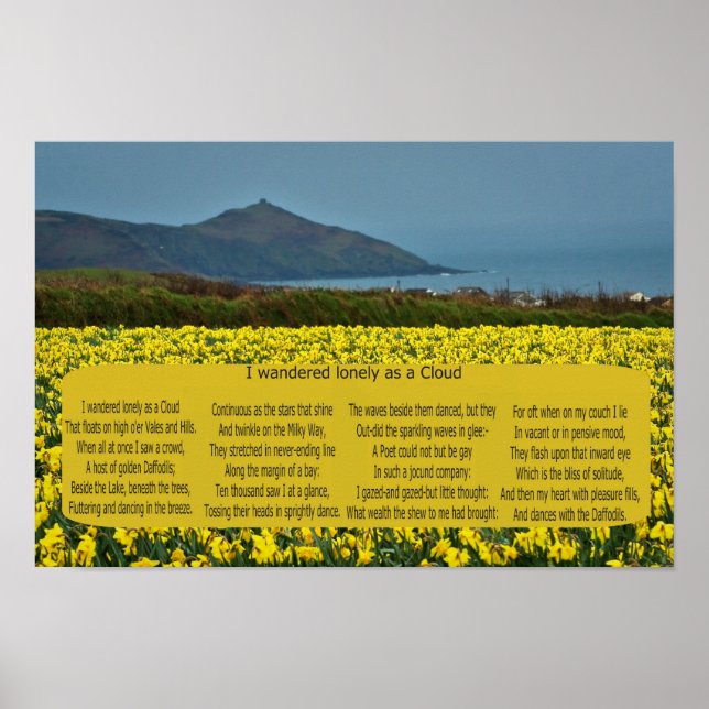 JAG VANDERED LONELY AS A CLOUD POSTER (Framsidan)