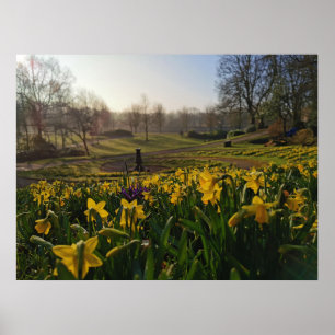 Jag vandrade ensam som ett moln av William Wordswo Poster